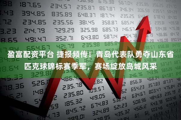 盈富配资平台 捷报频传！青岛代表队勇夺山东省匹克球锦标赛季军，赛场绽放岛城风采